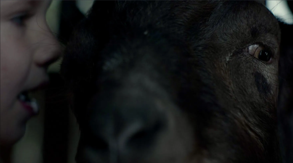 Cena de A Bruxa, de Robert Eggers.